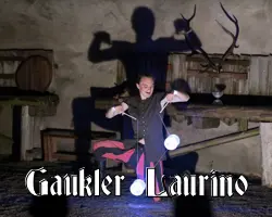 Gaukler Laurino