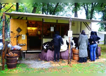 Vehi Mercatus GmbH