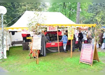 Festival-Mediaval-Merch